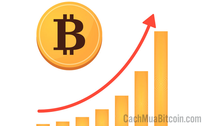 Ghidul dumneavoastră pentru tranzacţionarea de Bitcoin Cash (BCH)