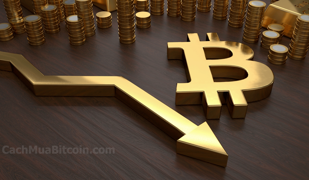 cachmuabitcoin.com-Một Hội Nghị Về Bitcoin Đã Quyết Định Ngưng Thanh Toán Bằng Bitcoin