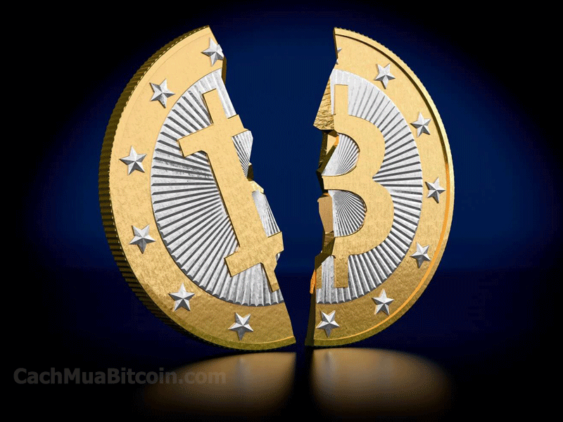 cachmuabitcoin.com-Bitcoin giảm 10% do một trong những thị trường tiền ảo lớn nhất thế giới chuẩn bị một dự luật cấm kinh doanh