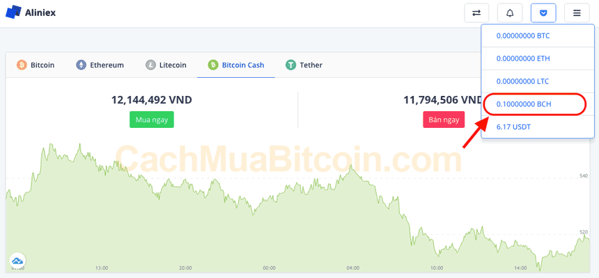 mua bitcoin cash