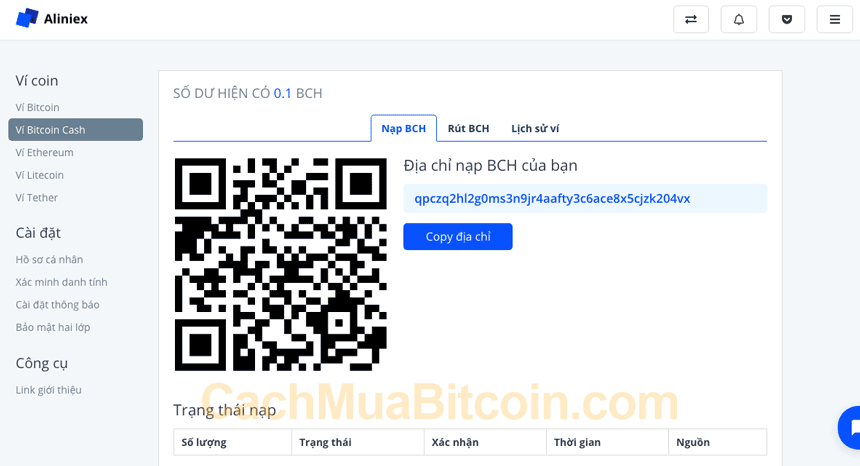 mua bitcoin cash